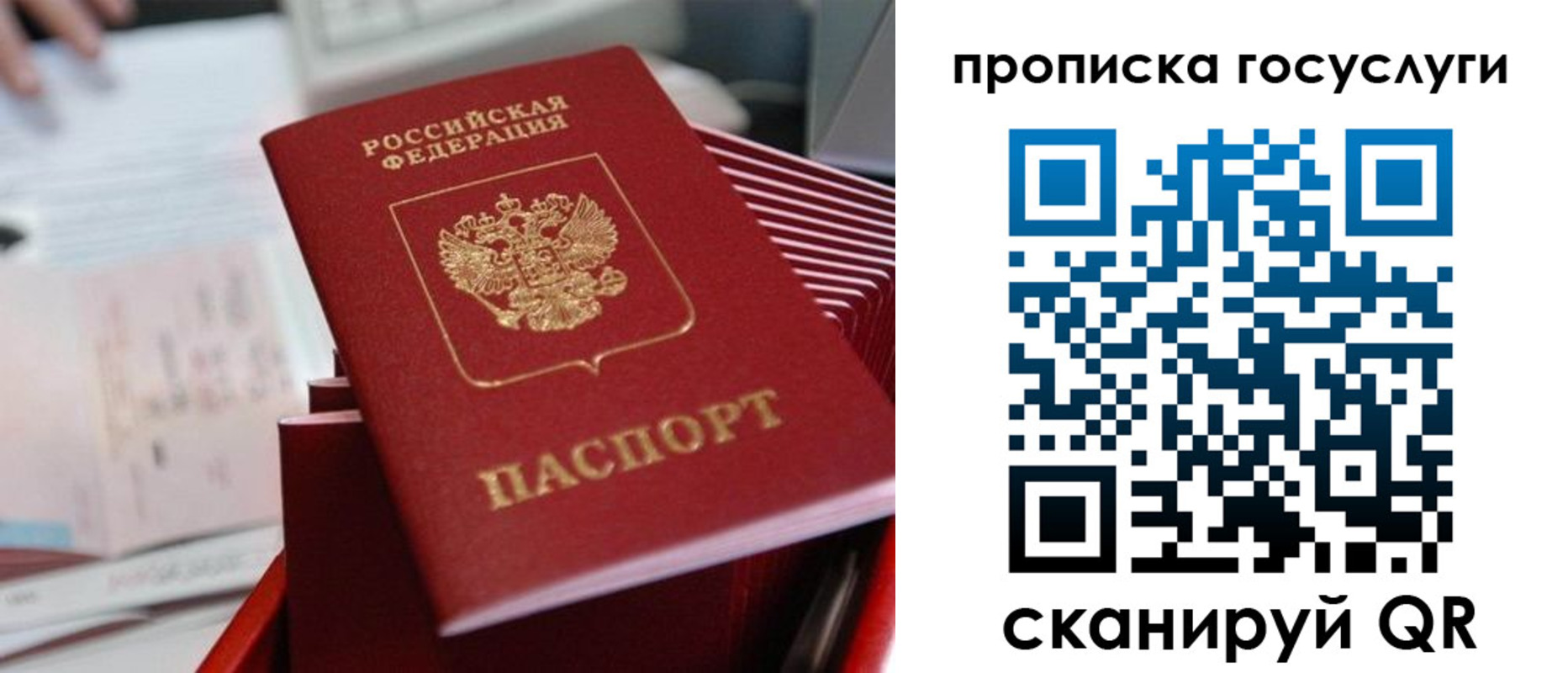 прописка законно в Каменск-Шахтинском